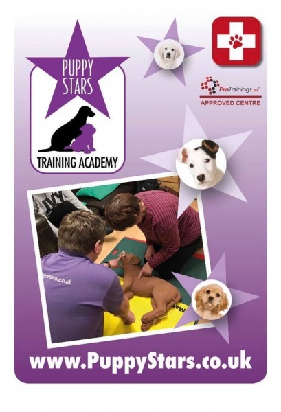 Online Canine First Aid Level 3 - For Pet Professionals