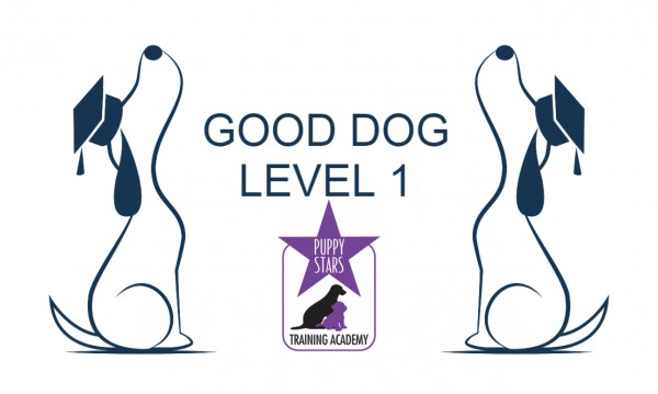 Good Dog Level One Online