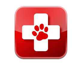 First Aid for Dogs - With Nick